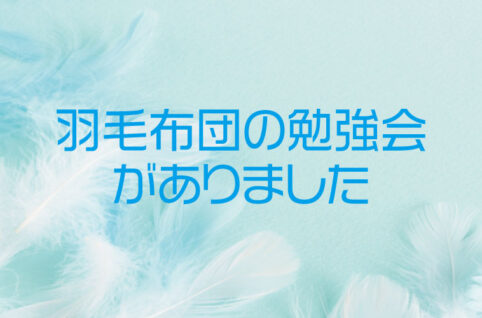 羽毛布団勉強会